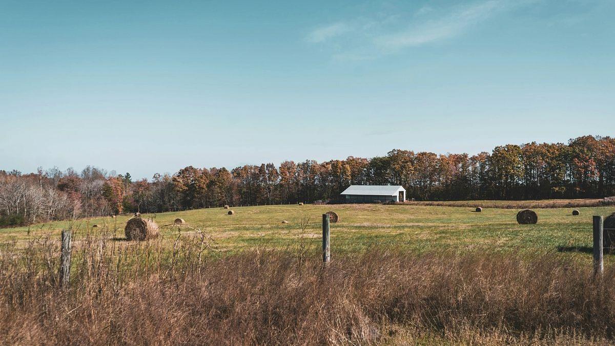Virginia hay shortage reaches 500,000 tons
